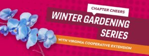 Chapter Cheers Winter Gardening Event Part 2:  Maintaining Your Holiday Plants